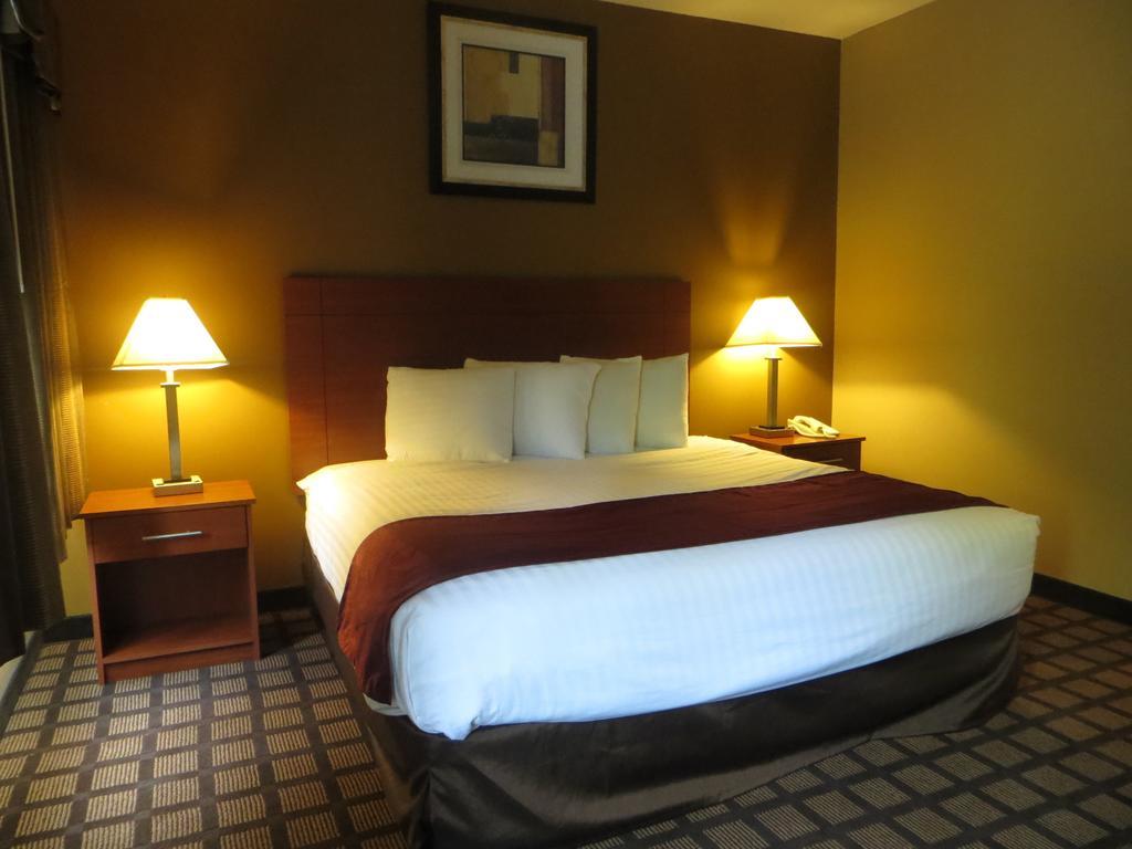 Baymont By Wyndham New Buffalo Habitación foto